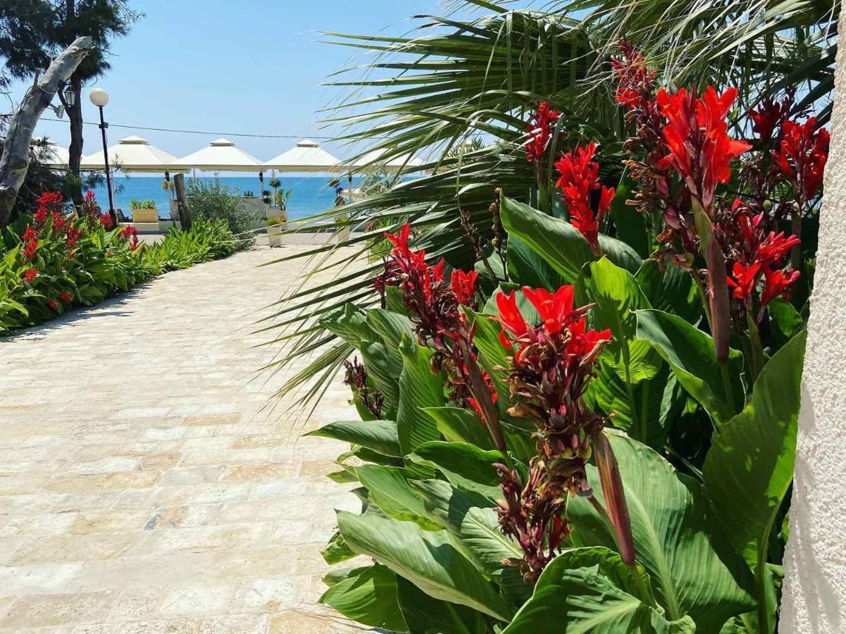 Apartments Kuce Lekovica Beach & Snack Bar- Bistro Zewnętrze zdjęcie